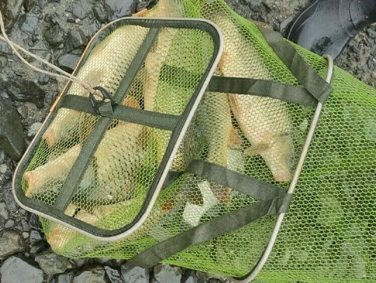 Превышение суточной нормы грозит изъятием снастей и штрафом