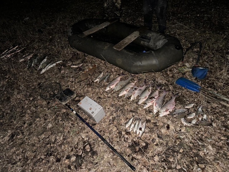 Электроудочников задержали на месте преступления