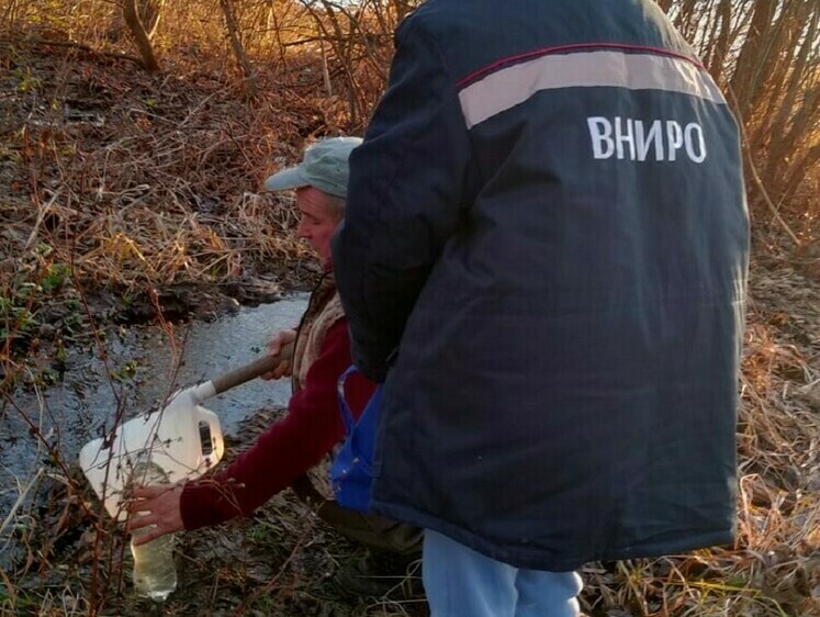 В Кимрах готовят замор рыбе Волги