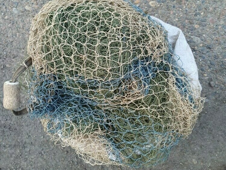 Дело о незаконной добыче и хранении осетра направлено в суд