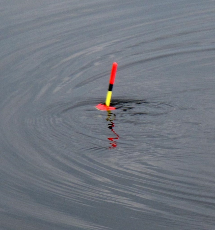 Изображение Фото: Коломийца Алексея.
