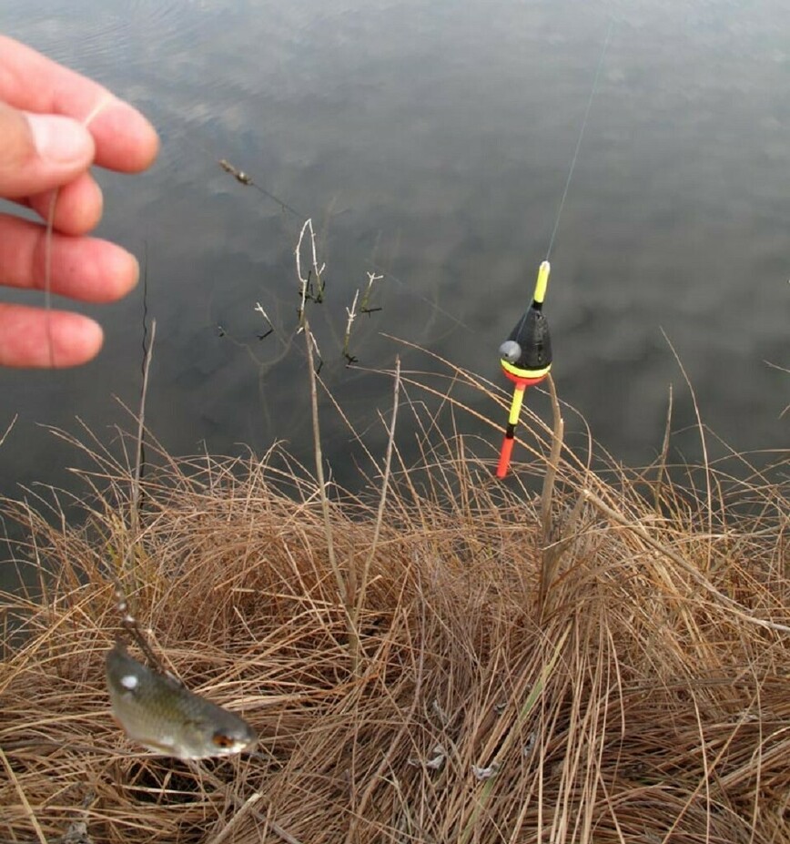 Изображение Фото: Коломийца Алексея.