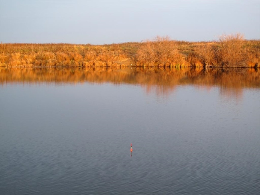 Изображение Фото: Коломийца Алексея.