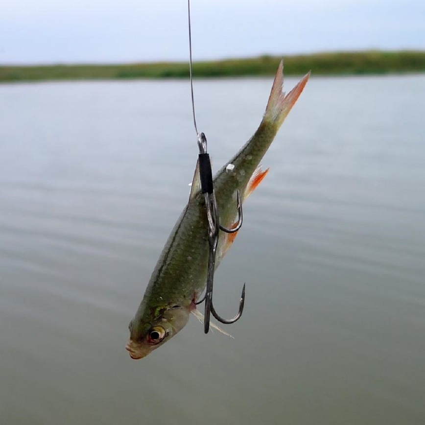 Изображение Фото: Коломийца Алексея.