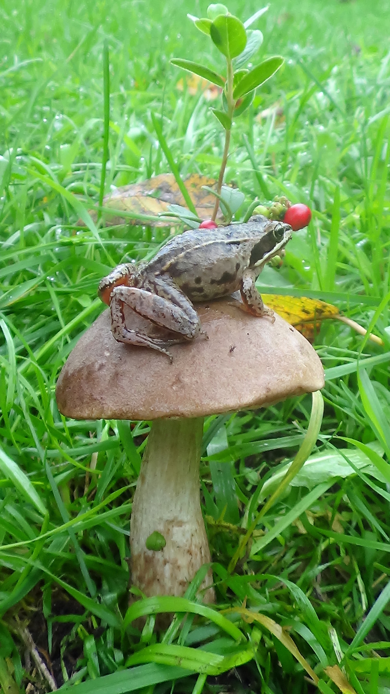 Изображение Фото автора 