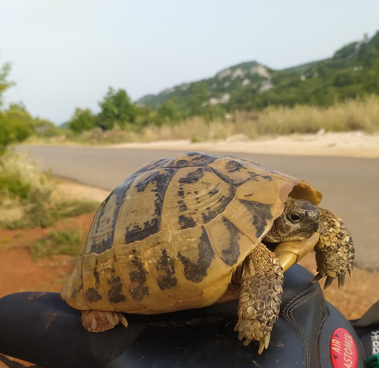 Изображение Фото автора 
