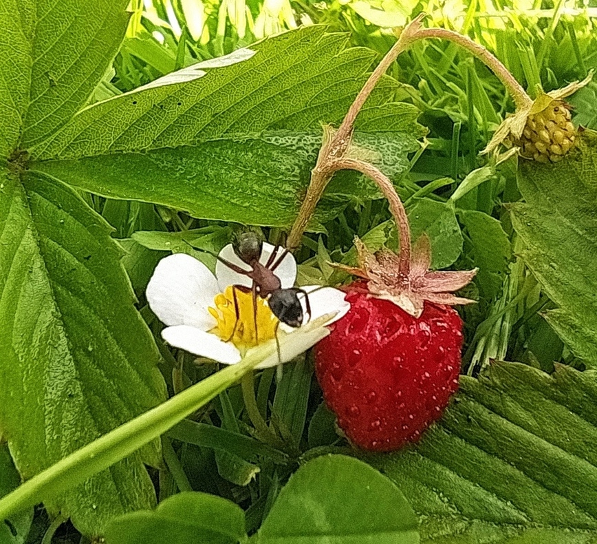 Изображение Фото автора 