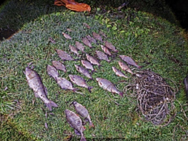 На Оке задержаны два браконьера с сетями на зимовальной яме