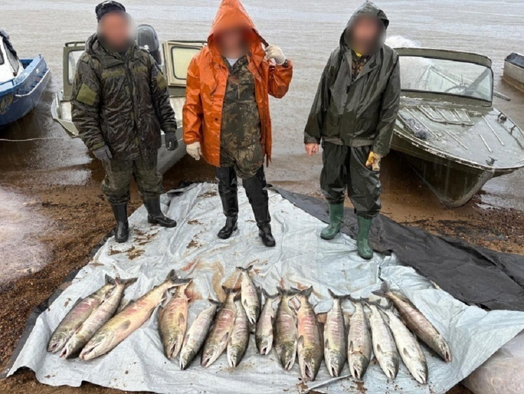 Закончено расследование уголовного дела о незаконной добыче кеты