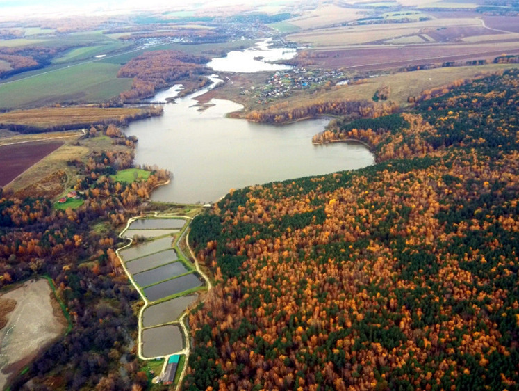 Коломенский рыбхоз «Осенка» опять нарушил законодательство