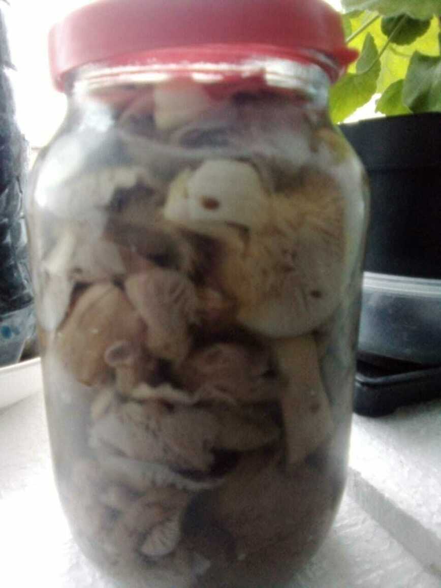 Изображение Фото автора