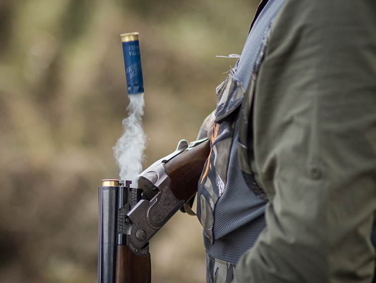 А ты - мастер? В России переписывают закон об оружии. По пунктам