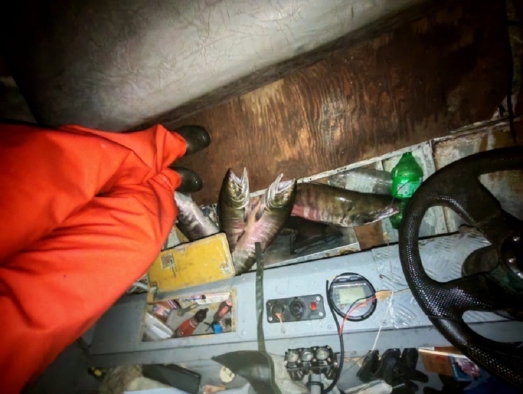 Браконьеры ждут своей очереди в судах