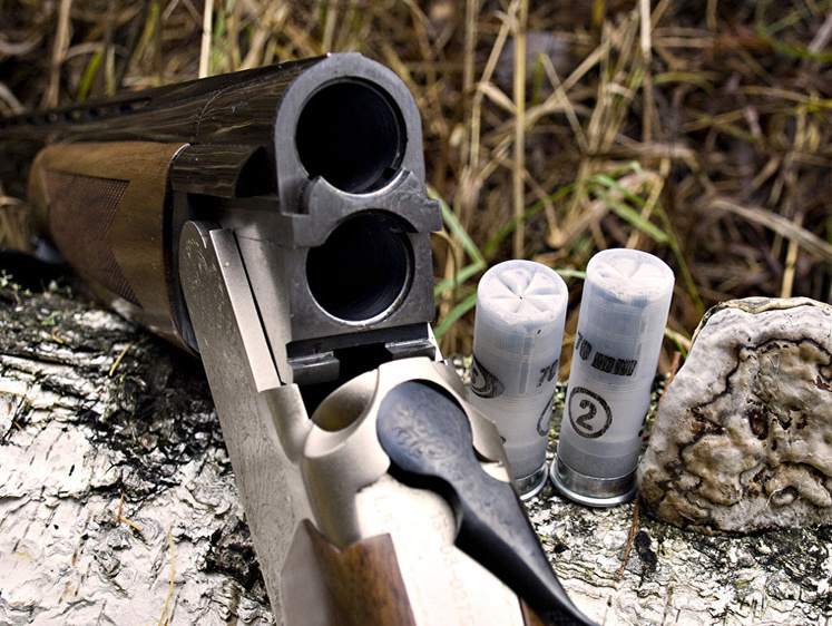 Новый закон об оружии: что изменится для охотников и спортсменов РФ