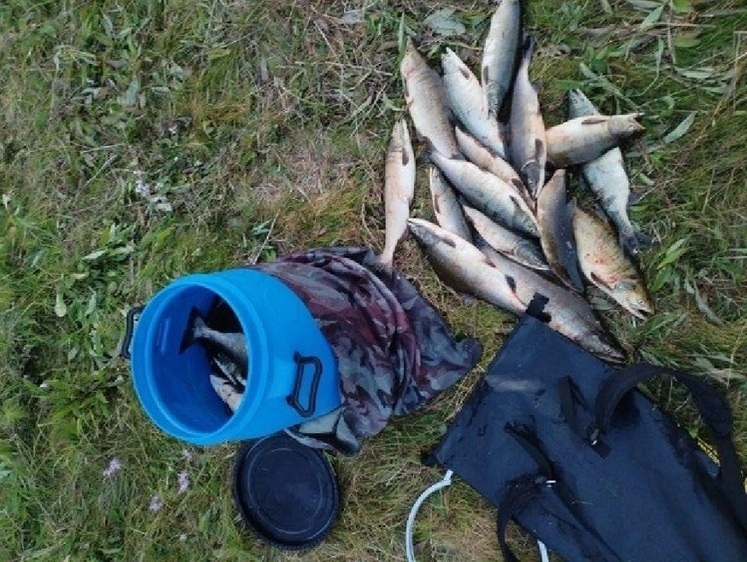 Мурманская рыбоохрана изъяла 19,4 км сетей