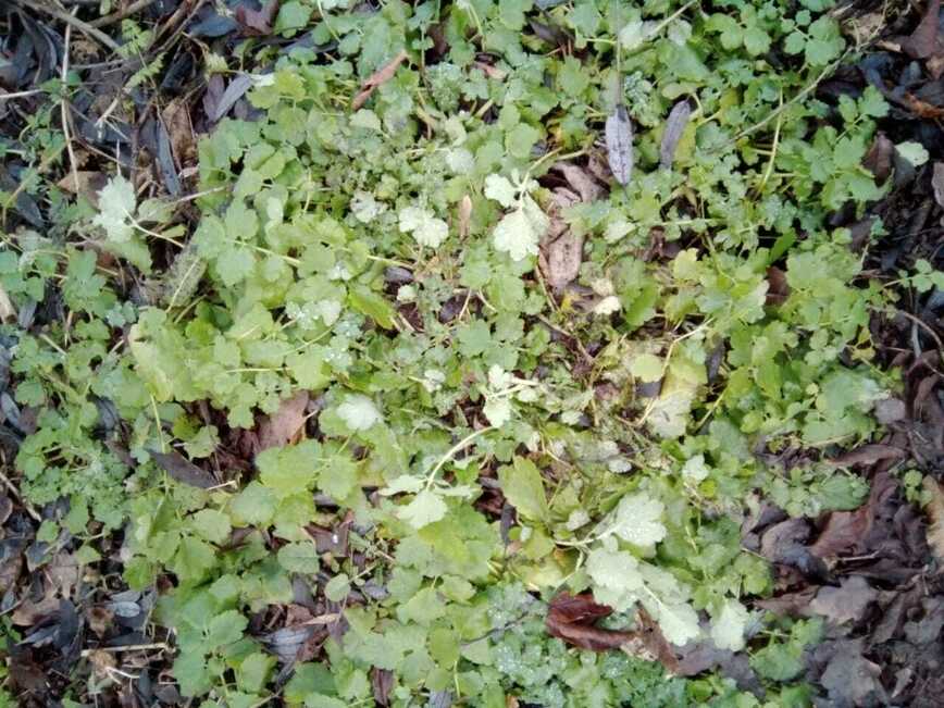 Изображение Фото автора