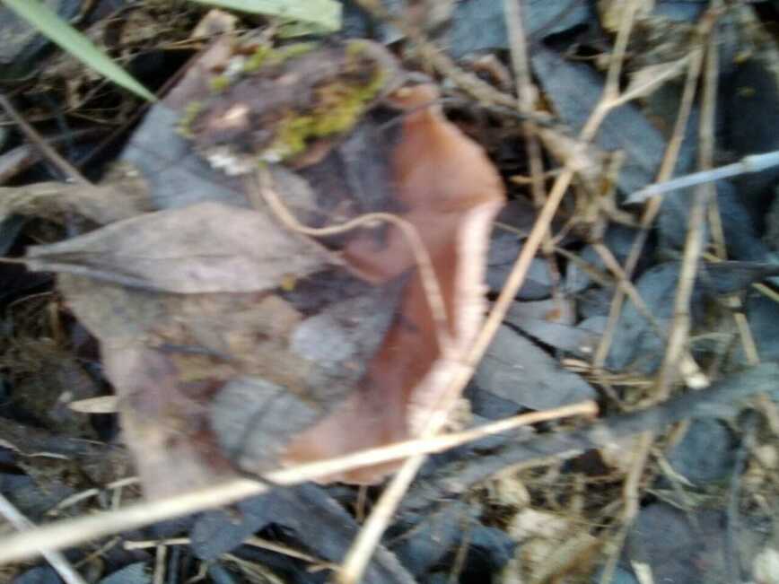 Изображение Фото автора