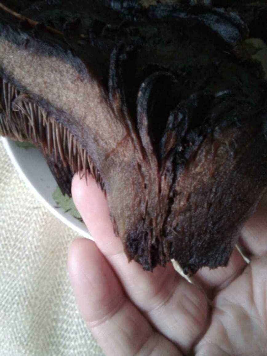 Изображение Фото автора