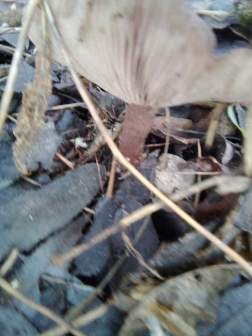 Изображение Фото автора