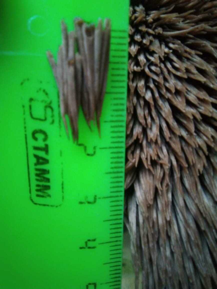 Изображение Фото автора