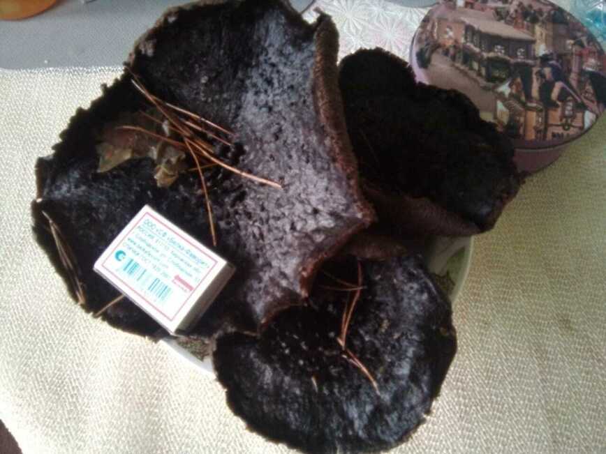 Изображение Фото автора