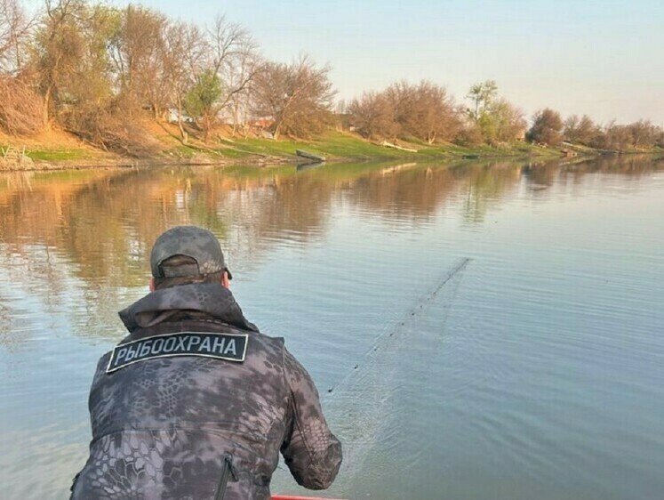 В Астрахани изъяли треть километра сетей и 337 кг осетровых