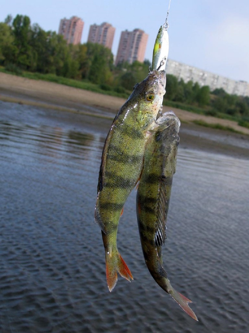 Изображение Фото: Коломийца Алексея. 