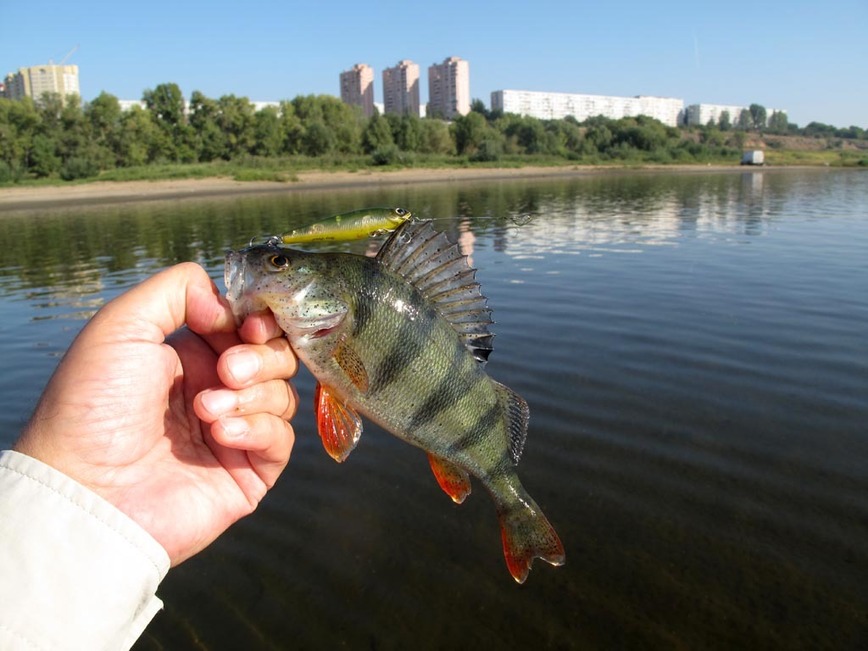 Изображение Фото: Коломийца Алексея. 