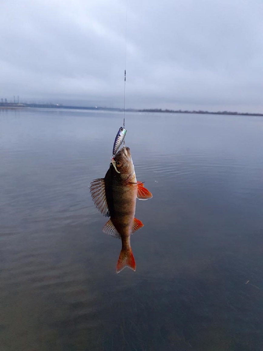 Изображение Фото: Коломийца Алексея. 
