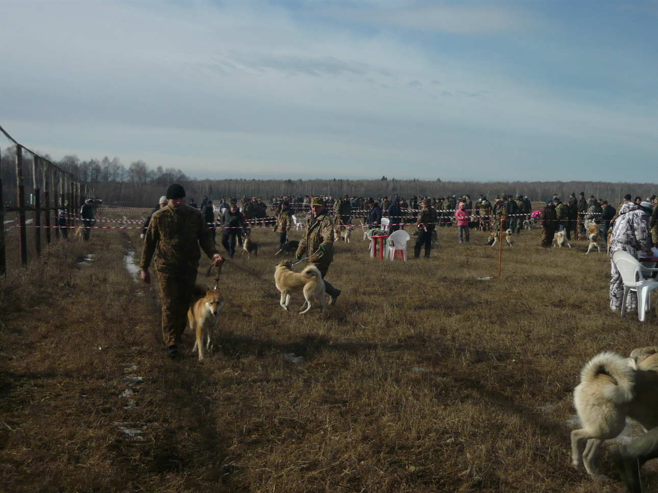 Изображение Фото автора