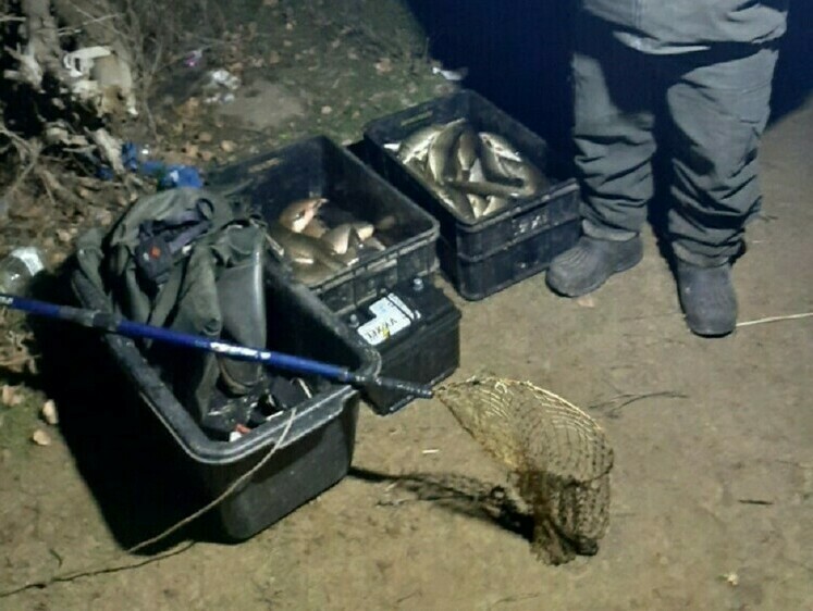 Электроудочника поймали на месте преступления