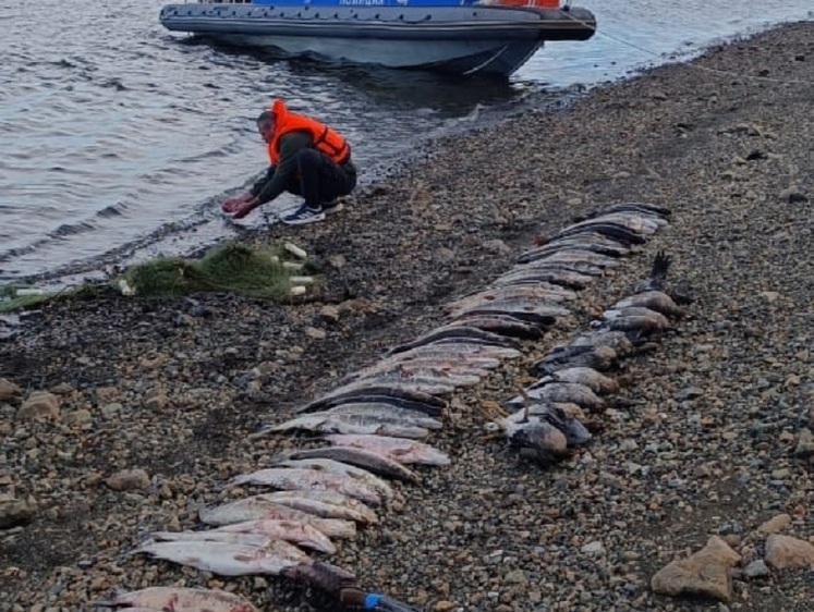Наловил рыбы, настрелял гусей и ждет места на скамье подсудимых