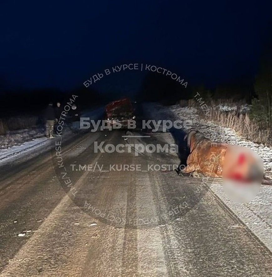 Изображение Фото: тг-канал «Будь в курсе/Кострома»