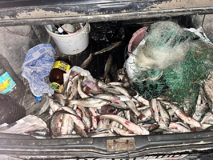 В нацпарке ДНР местный наловил судаков и кефали на 330 тысяч