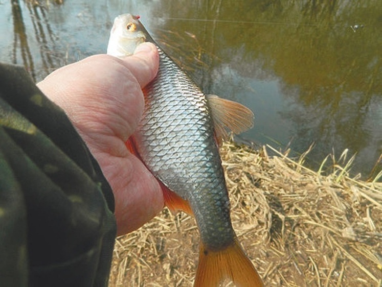О ловле на малых реках осенью