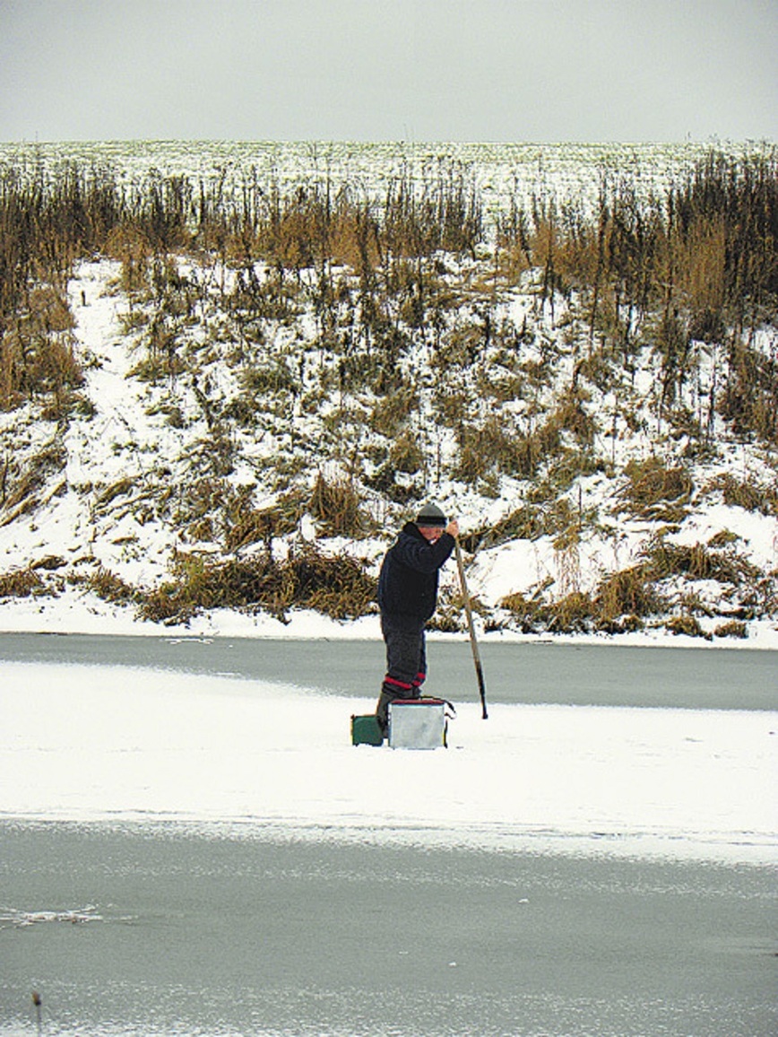 Изображение Фото: Маилкова Анатолия. 