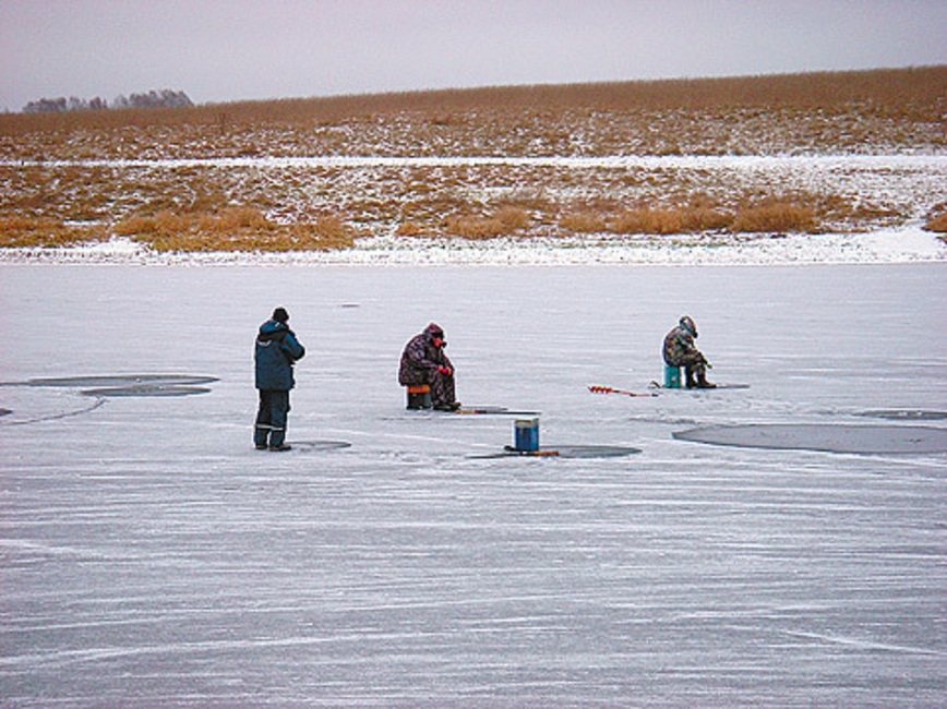 Изображение Фото: Маилкова Анатолия. 