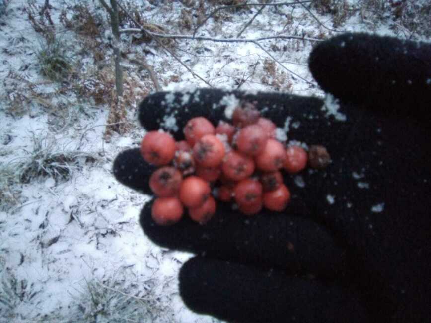 Изображение Фото автора