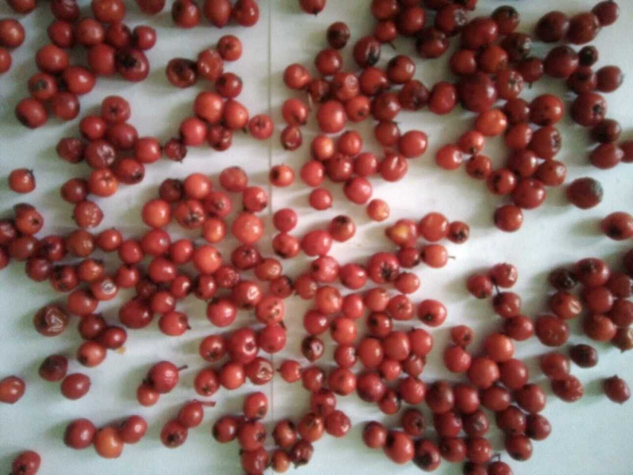 Изображение Фото автора