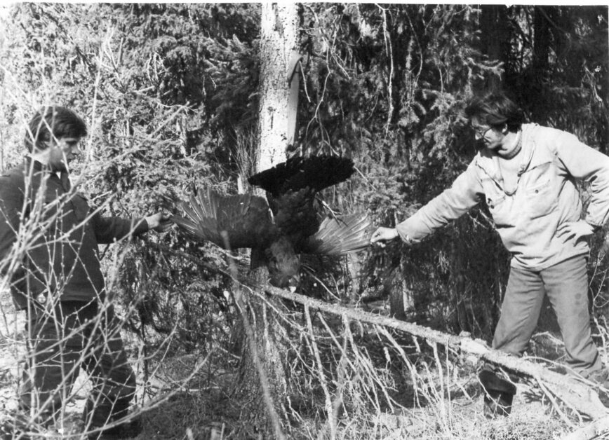 Изображение Фото автора 