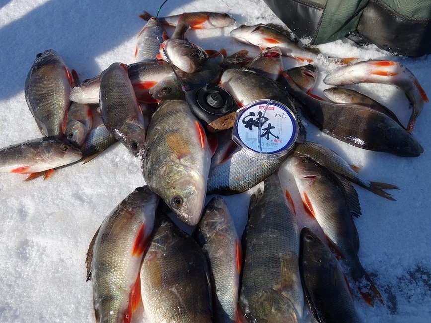 Изображение Фото: Линника Николая.