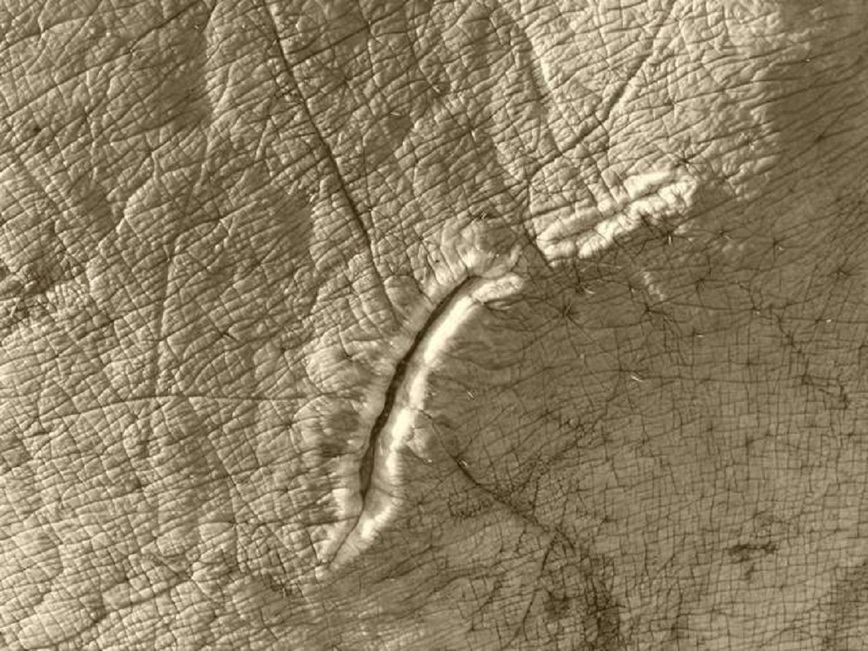 Изображение Фото: africahunting.com