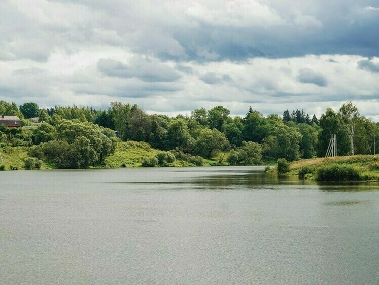 Жители Подмосковья выбрали водоемы для «стрижки» в следующем году