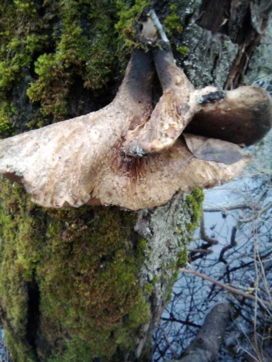 Изображение Фото автора 