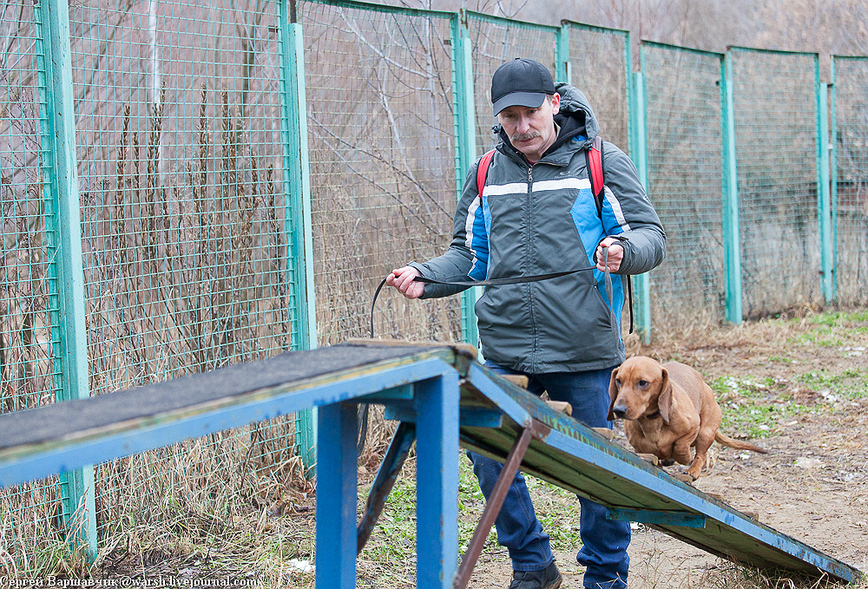 Изображение Фото автора 