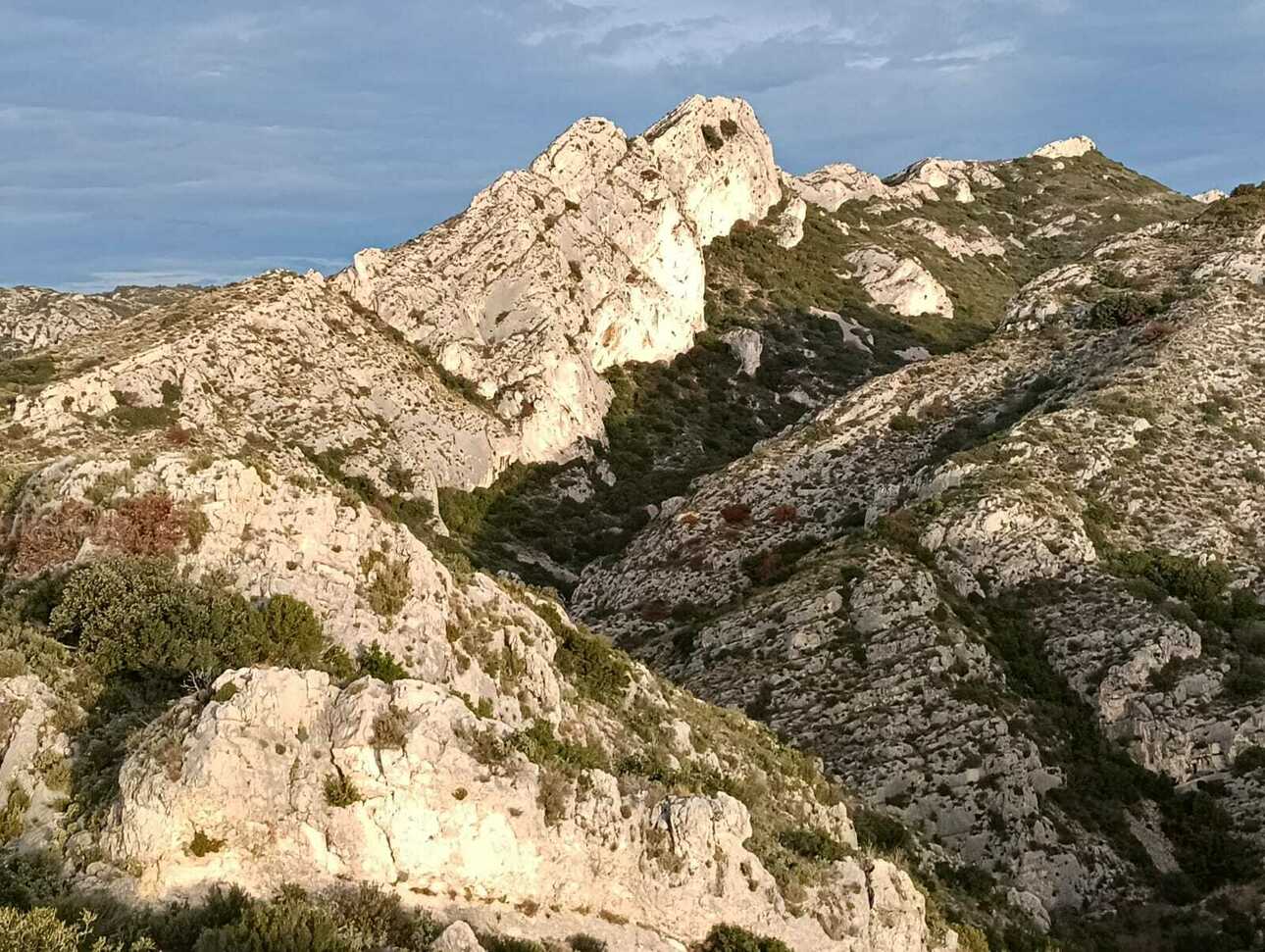 Изображение Фото: africahunting.com