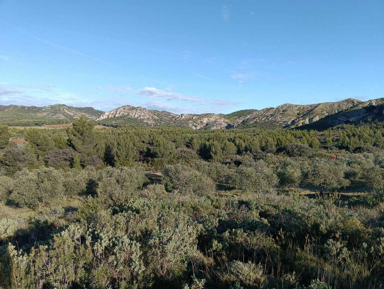 Изображение Фото: africahunting.com