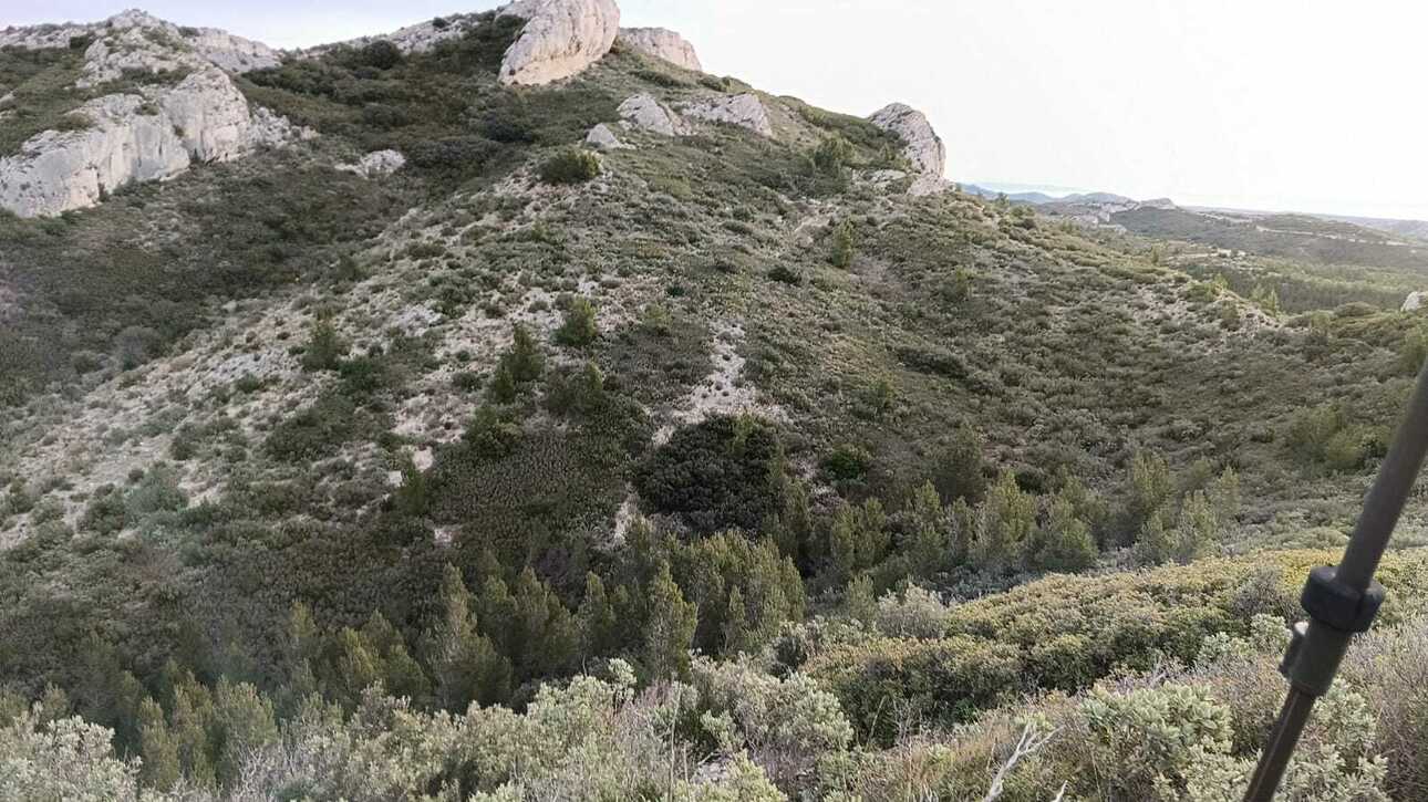 Изображение Фото: africahunting.com