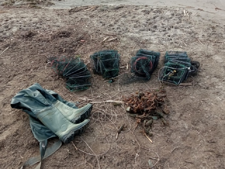 Погода в Саратове позволяет браконьерам ловить раков