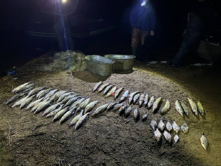 В Псковской области суд вынес приговор незаконным промысловикам